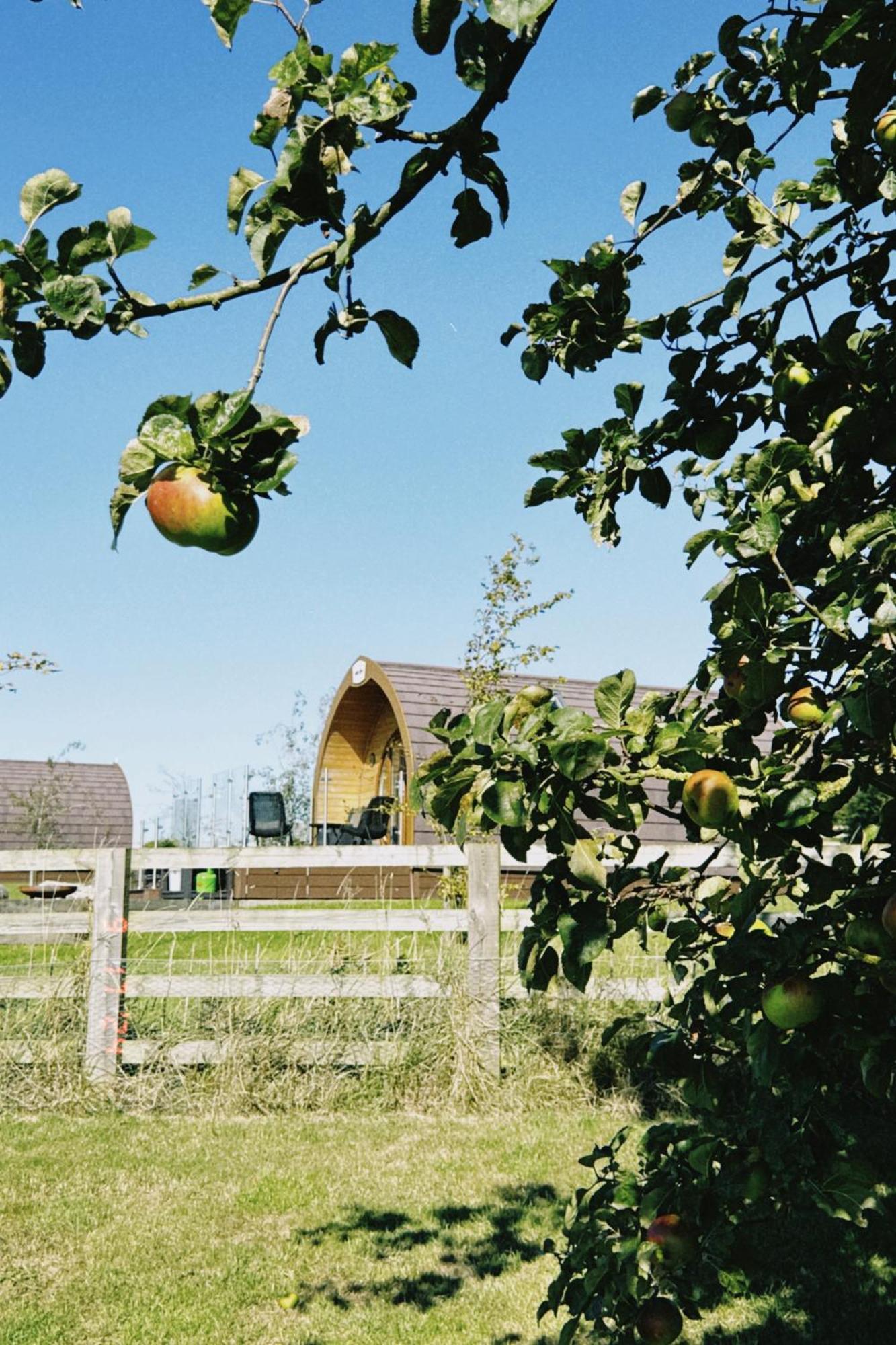 Mingle Dale- Bugthorpe Grange Glamping Villa Stamford Bridge Luaran gambar